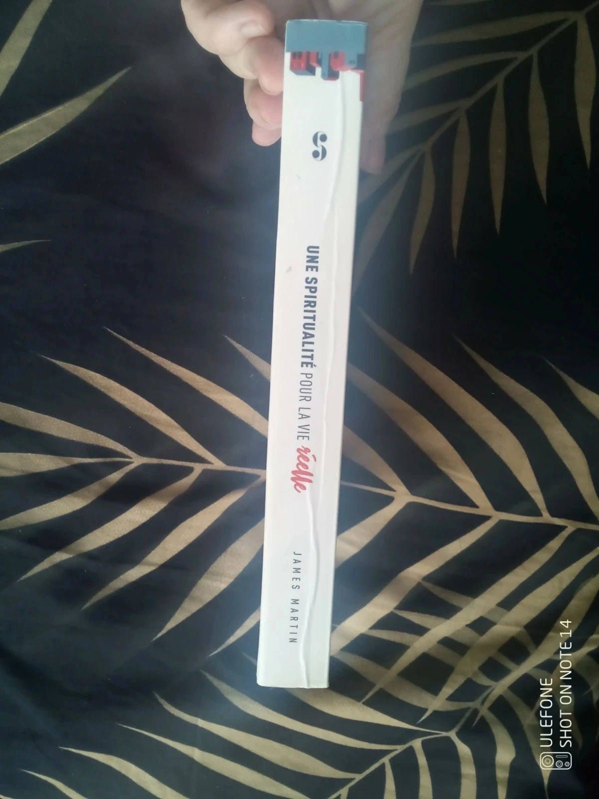 Livre une spiritualité pour la vie réelle – photo 7